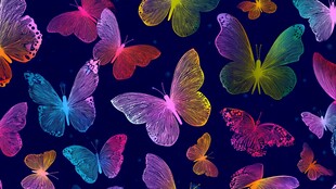 梦幻多彩蝴蝶背景图案