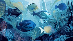 梦幻海底鱼群畅游景象