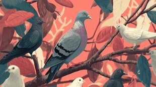 枝头鸽群 花叶间的灵动画面