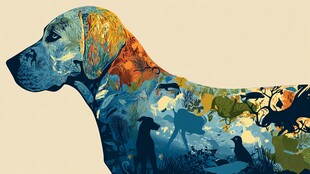 彩色拼贴风的狗狗形象