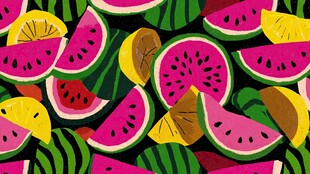 缤纷水果切片插画