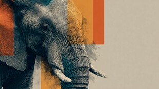 抽象艺术风格的大象形象