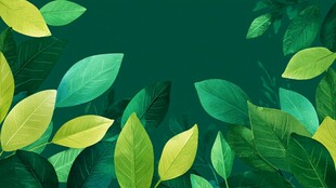 清新绿叶背景图