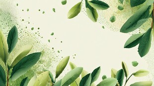 绿叶环绕的清新自然背景