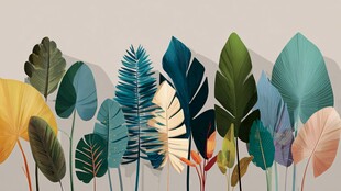 热带多彩叶片插画集合