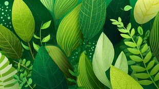 清新绿叶植物背景插画