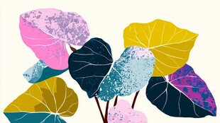 多彩叶片插画