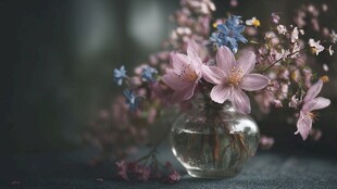 花瓶中的柔美粉色花卉