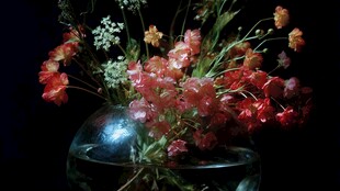 花瓶中的多彩花卉组合