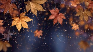 秋意枫叶飘零梦幻背景