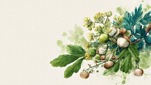 手绘清新植物花果枝叶图