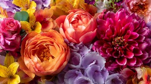 缤纷多彩花卉特写