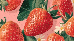 草莓插画 甜美清新水果图案