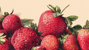 饱满红嫩的新鲜草莓