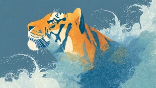 水中猛虎 尽显野性魅力