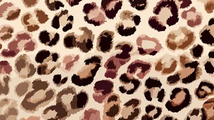豹纹图案纹理背景图