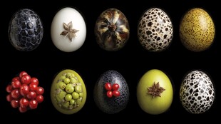 奇趣彩蛋造型 多样视觉盛宴