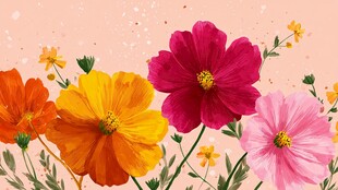 多彩花卉绽放画面