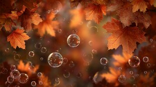 秋景枫叶与梦幻泡泡