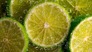 青柠切片在气泡水中绽放