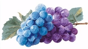 水彩绘蓝紫葡萄与绿叶