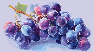 水彩绘紫色葡萄串