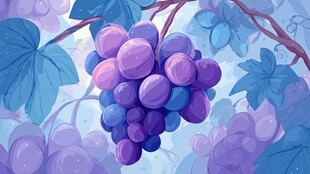 梦幻紫葡萄与枝叶插画