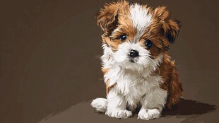 可爱棕白小萌犬
