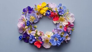 缤纷花朵编织的美丽花环