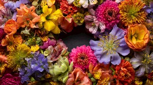 多彩花卉组成绚丽花环