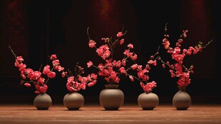 中式花瓶插红梅雅致景致