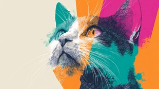 多彩拼接风猫咪肖像画