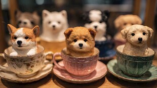 茶杯中的可爱萌犬摆件
