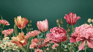 缤纷花卉绽放生机活力