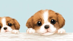 两只萌犬探头超可爱