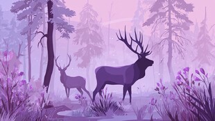 梦幻森林中的双鹿剪影