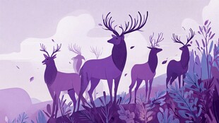 梦幻山林中的优雅鹿群