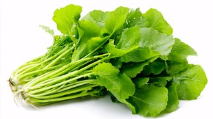 新鲜小白菜 翠绿欲滴