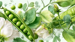 鲜嫩豌豆与花叶的清新图景