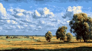 广袤田野上的蓝天白云绿树