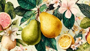 水彩风水果花卉清新插画