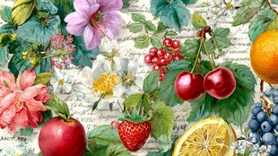 花卉与水果的缤纷插画