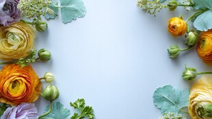 多彩花卉装点的清新画面