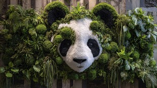 绿植熊猫艺术墙饰