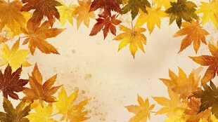 秋意枫叶边框背景图
