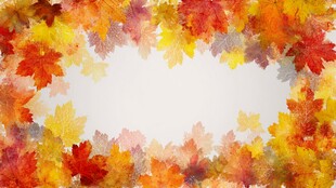 秋日枫叶边框背景图