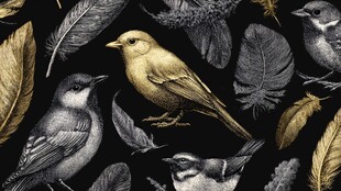 黑金风格鸟类与羽毛图案