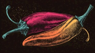 彩色双椒艺术插画