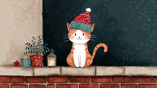 戴帽猫咪的温馨圣诞角落