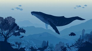 梦幻深海鲸鱼遨游图景